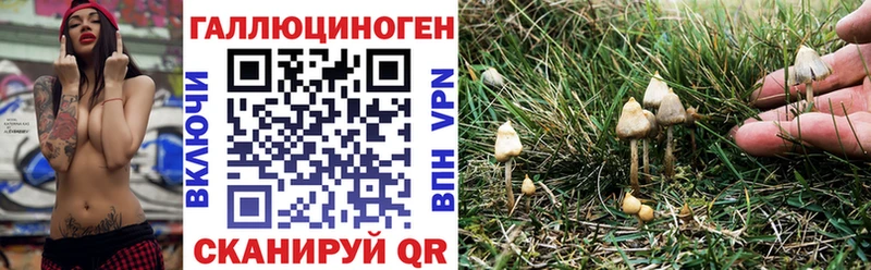 Псилоцибиновые грибы ЛСД  Карачаевск 